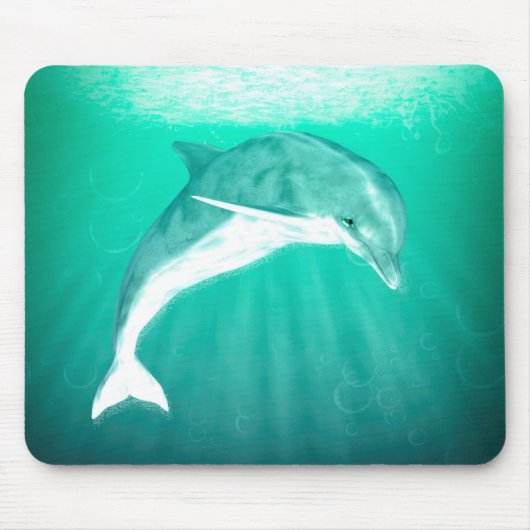 Dolphin Muismat (Voorkant)
