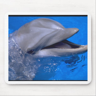 Dolphin Muismat