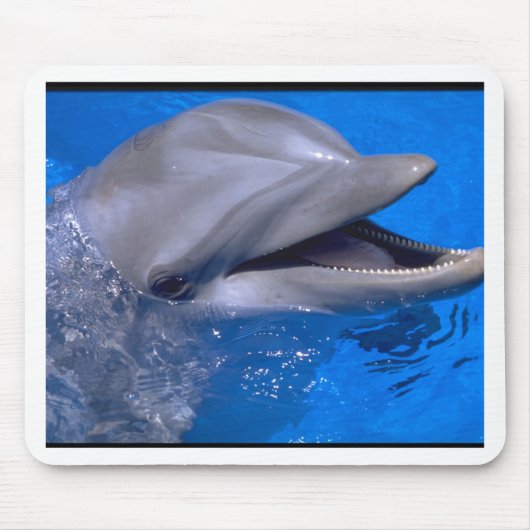 Dolphin Muismat (Voorkant)