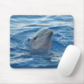 Dolphin Muismat (Met muis)