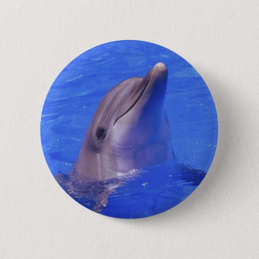 Dolphin Nose Ronde Button 5,7 Cm (Voorkant)