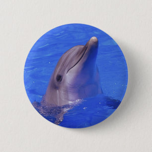 Dolphin Nose Ronde Button 5,7 Cm
