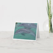 Dolphin Note Cards Kaart (Voorkant)
