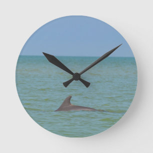 Dolphin op Sanibel Ronde Klok
