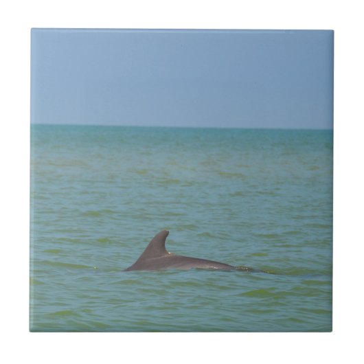 Dolphin op Sanibel Tegeltje (Voorkant)