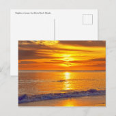 Dolphin op Sunset, Fort Myers Beach, Florida Briefkaart (Voorkant / Achterkant)
