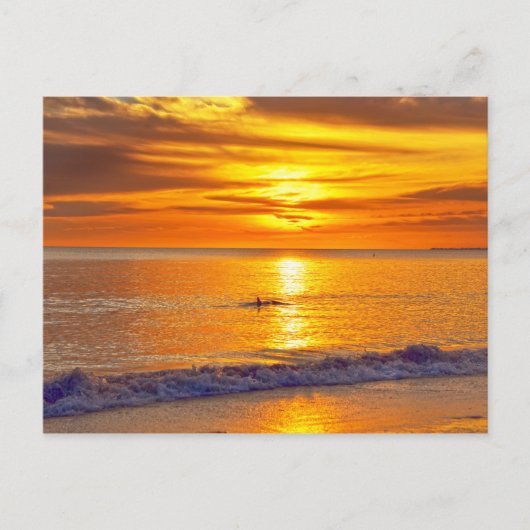 Dolphin op Sunset, Fort Myers Beach, Florida Briefkaart (Voorkant)