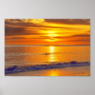 Dolphin op Sunset, Fort Myers Beach, Florida Poster