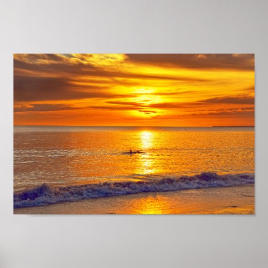 Dolphin op Sunset, Fort Myers Beach, Florida Poster (Voorkant)