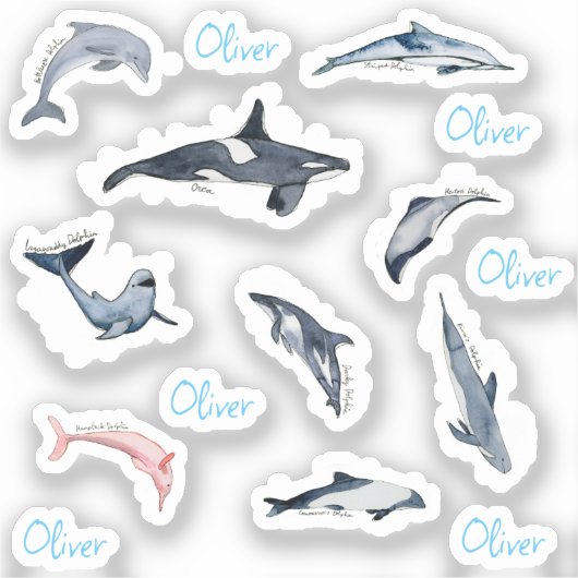 Dolphin orca waterverf tekening gepersonaliseerde  sticker (Voorkant)