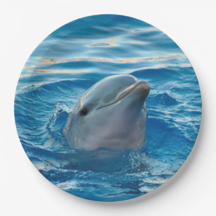 Dolphin Papieren Bordje