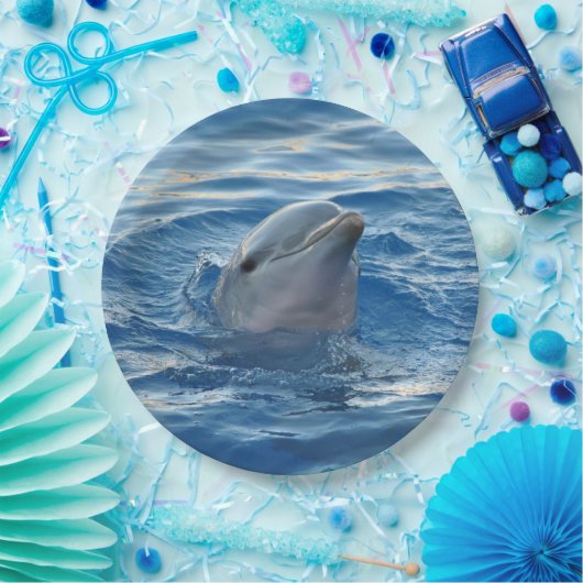 Dolphin Papieren Bordje (Feest)
