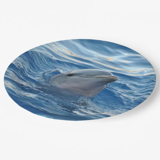 Dolphin Papieren Bordje (Gekanteld)