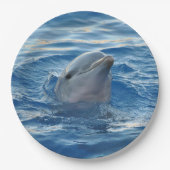 Dolphin Papieren Bordje (Voorkant)