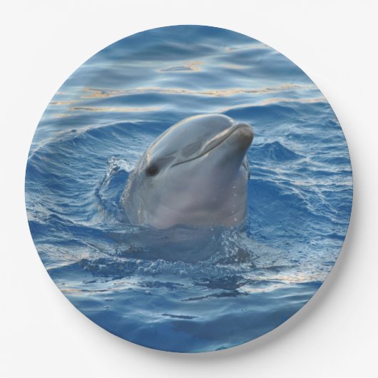 Dolphin Papieren Bordje (Voorkant)