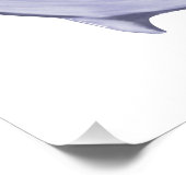 Dolphin Peace Poster (Hoek)