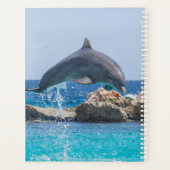 Dolphin Planner (Achterkant)