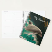 Dolphin Planner (Display)