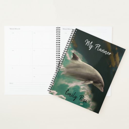Dolphin Planner (Display)