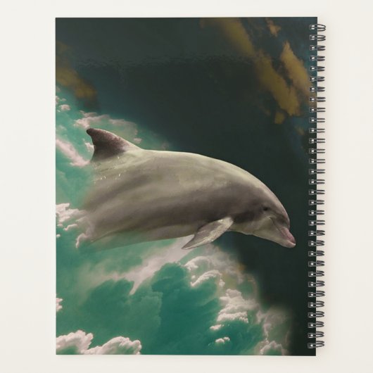 Dolphin Planner (Achterkant)