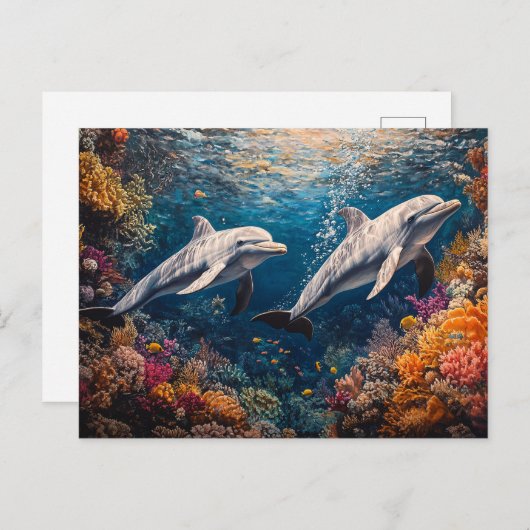 Dolphin Pod Coral Reef Briefkaart (Voorkant / Achterkant)