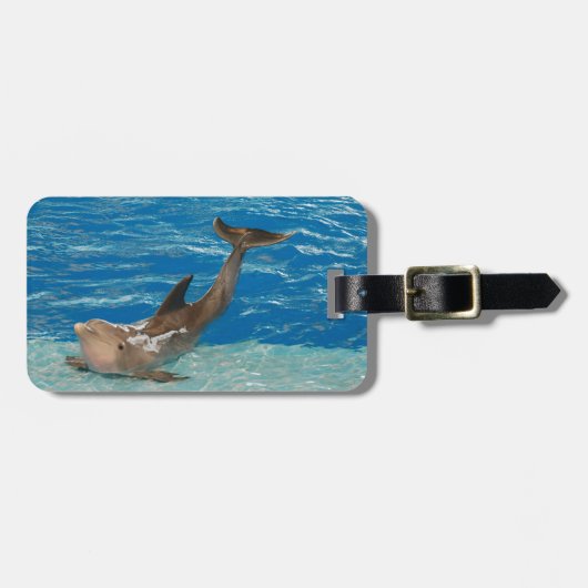 Dolphin Pose Bagagelabel (Voorkant horizontaal)