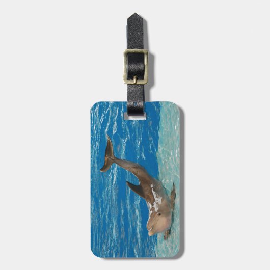 Dolphin Pose Bagagelabel (Voorkant verticaal)
