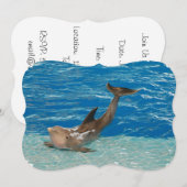 Dolphin Pose Kaart (Voorkant / Achterkant)