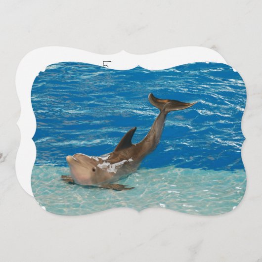 Dolphin Pose Kaart (Voorkant / Achterkant)