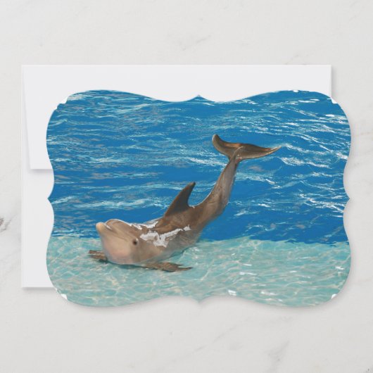 Dolphin Pose Kaart (Voorkant)