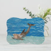 Dolphin Pose Kaart (Staand voorkant)