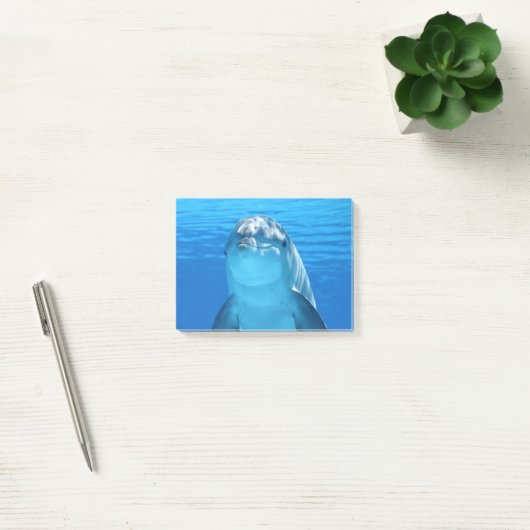 Dolphin Post-it® Notes (Kantoor)