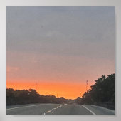 DOLPHIN POSTER (Voorkant)