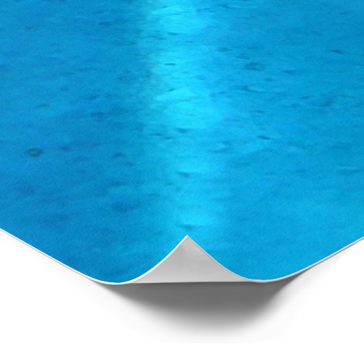 Dolphin Poster (Hoek)