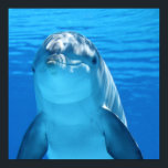 Dolphin Poster<br><div class="desc">Dit poster heeft er een dolfijn op afgebeeld.</div>
