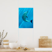 Dolphin Poster (Keuken)