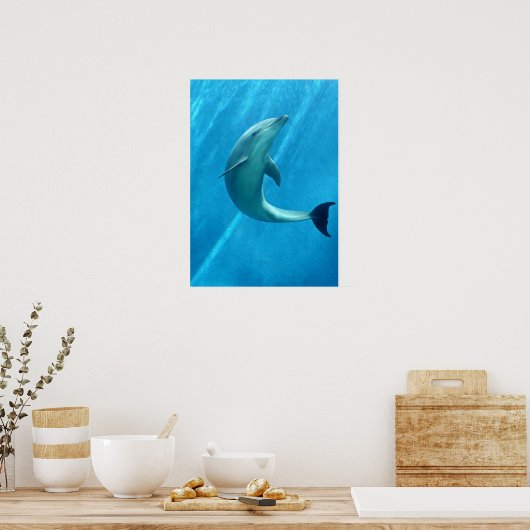 Dolphin Poster (Keuken)