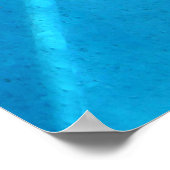 Dolphin Poster (Hoek)