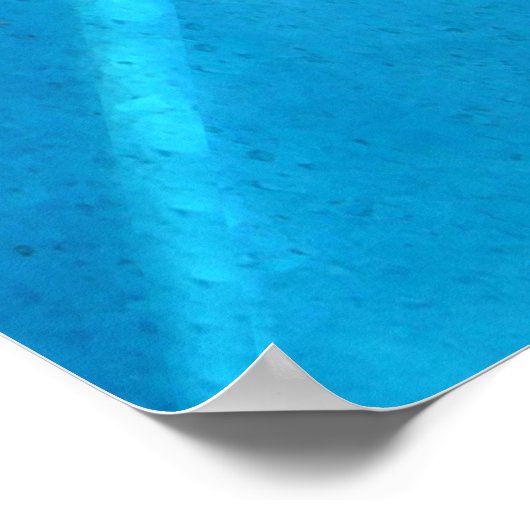 Dolphin Poster (Hoek)