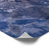 Dolphin Poster (Hoek)