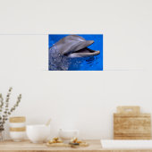 Dolphin Poster (Keuken)