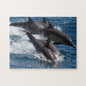 Dolphin Puzzle Legpuzzel (Horizontaal)