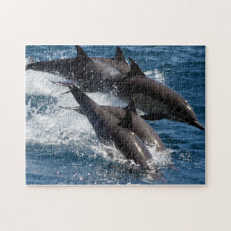 Dolphin Puzzle Legpuzzel