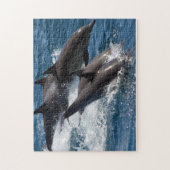 Dolphin Puzzle Legpuzzel (Verticaal)