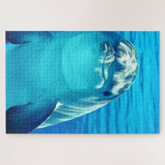 Dolphin Puzzle Legpuzzel (Horizontaal)