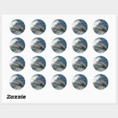 Dolphin Ronde Sticker (Vel)