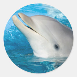 Dolphin Ronde Sticker