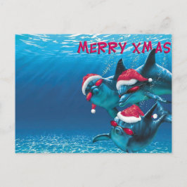 Dolphin Santa Hat Funny Kerstmis Briefkaart