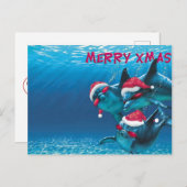 Dolphin Santa Hat Funny Kerstmis Briefkaart (Voorkant / Achterkant)