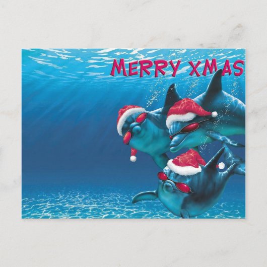 Dolphin Santa Hat Funny Kerstmis Briefkaart (Voorkant)